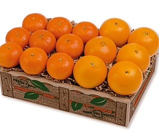 MANDARIN AND NAVEL COMBO LARGE