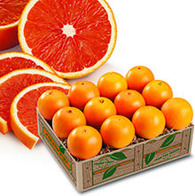 Scarlet Navels THUMBNAIL