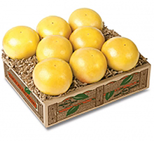 White Grapefruit THUMBNAIL