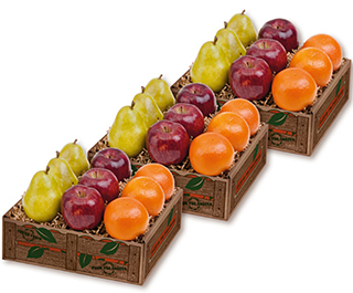 Orchard Medley LARGE