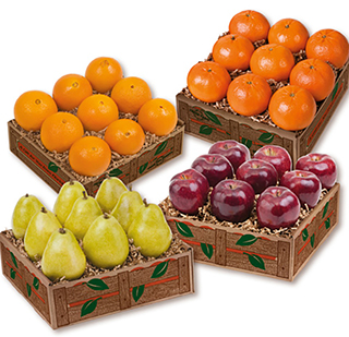 FRUIT GALORE MEDLEY LARGE