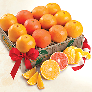 ORANGE QUARTET LARGE