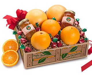 Tasty Little Treat LARGE