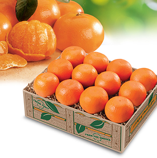 MANDARIN ORANGES LARGE