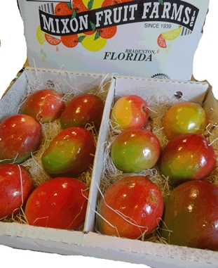 10 Lb Mango LARGE