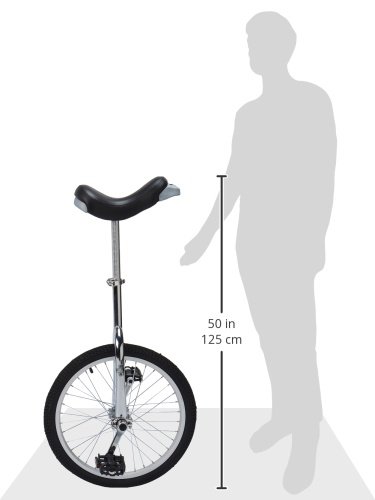 Fun | 20 inch Unicycle with Aluminum Rim, Black SWATCH