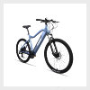 Electric Bikes