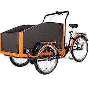 pfautec | Jumbo 20/26 Internal Shimano 7 Speed Cargo Tricycle THUMBNAIL