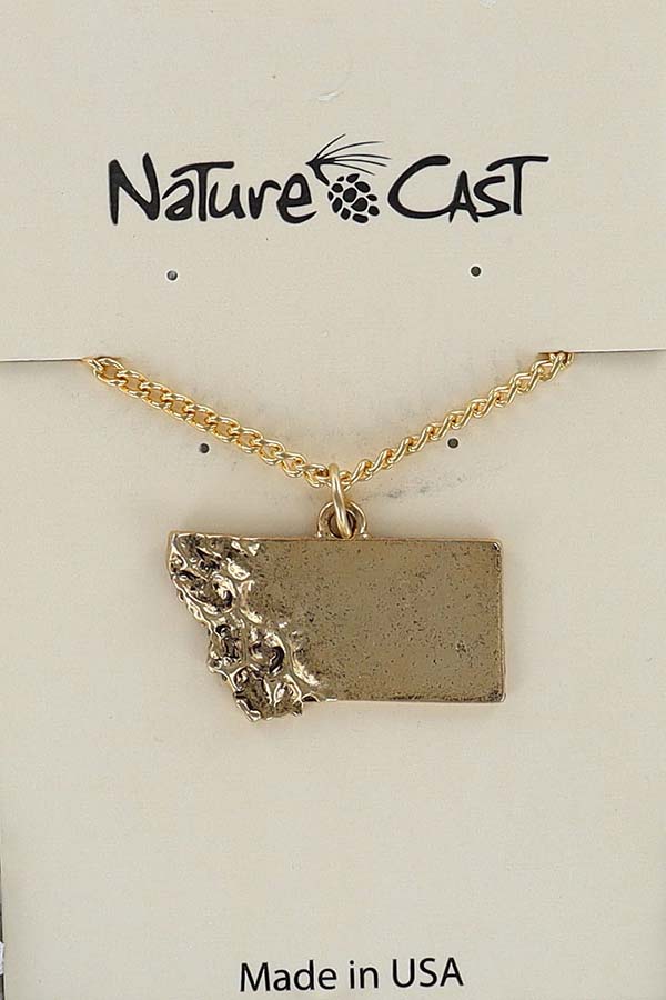 12553 Pendant MT state w / 18" chain LARGE