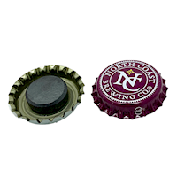 bottle-cap magnet - plum MAIN