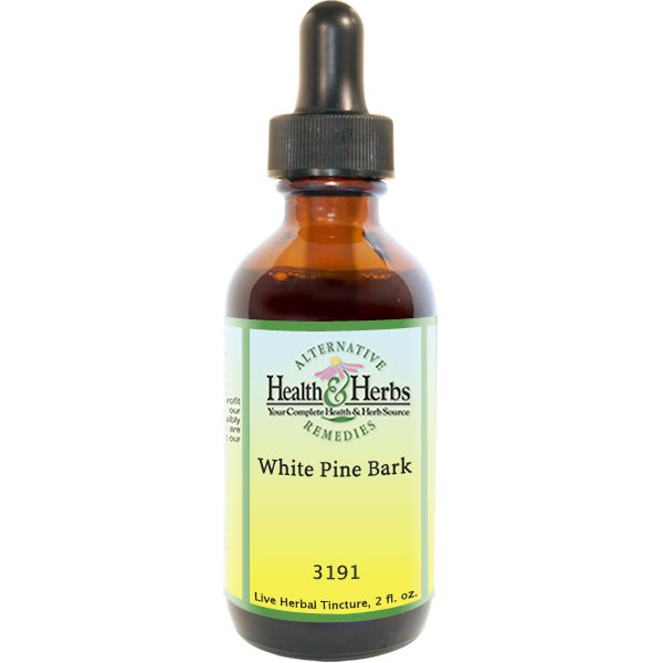 White Pine Bark Tinctures Liquid Herbal Extracts Uses