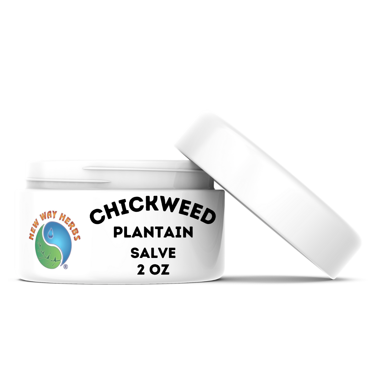 Chickweed Plantain Salve for any type of itching MAIN