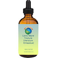 Lion's Mane |Tinctures-Liquid Herbal Extracts & Benefits MAIN