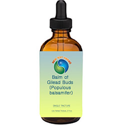 BALM OF GILEAD BUDS|Tinctures-Liquid Herbal Extracts & Benefits MAIN