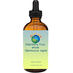 Elderberry Fruit |Tinctures-Liquid Herbal Extracts Shop Herbal Store MAIN