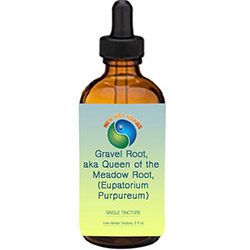 Gravel Root|Tinctures-Liquid Herbs Health Store MAIN