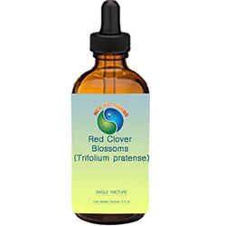 Red Clover Blossoms|Tinctures-Liquid Herbal Extracts & Their Benefits MAIN