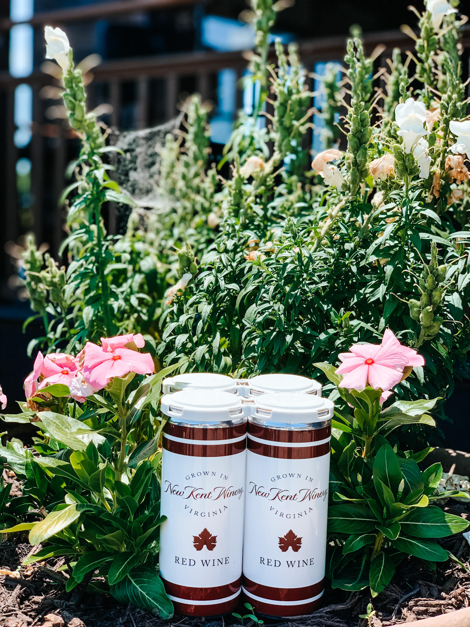 Canned Red Wine 4-Pack MAIN