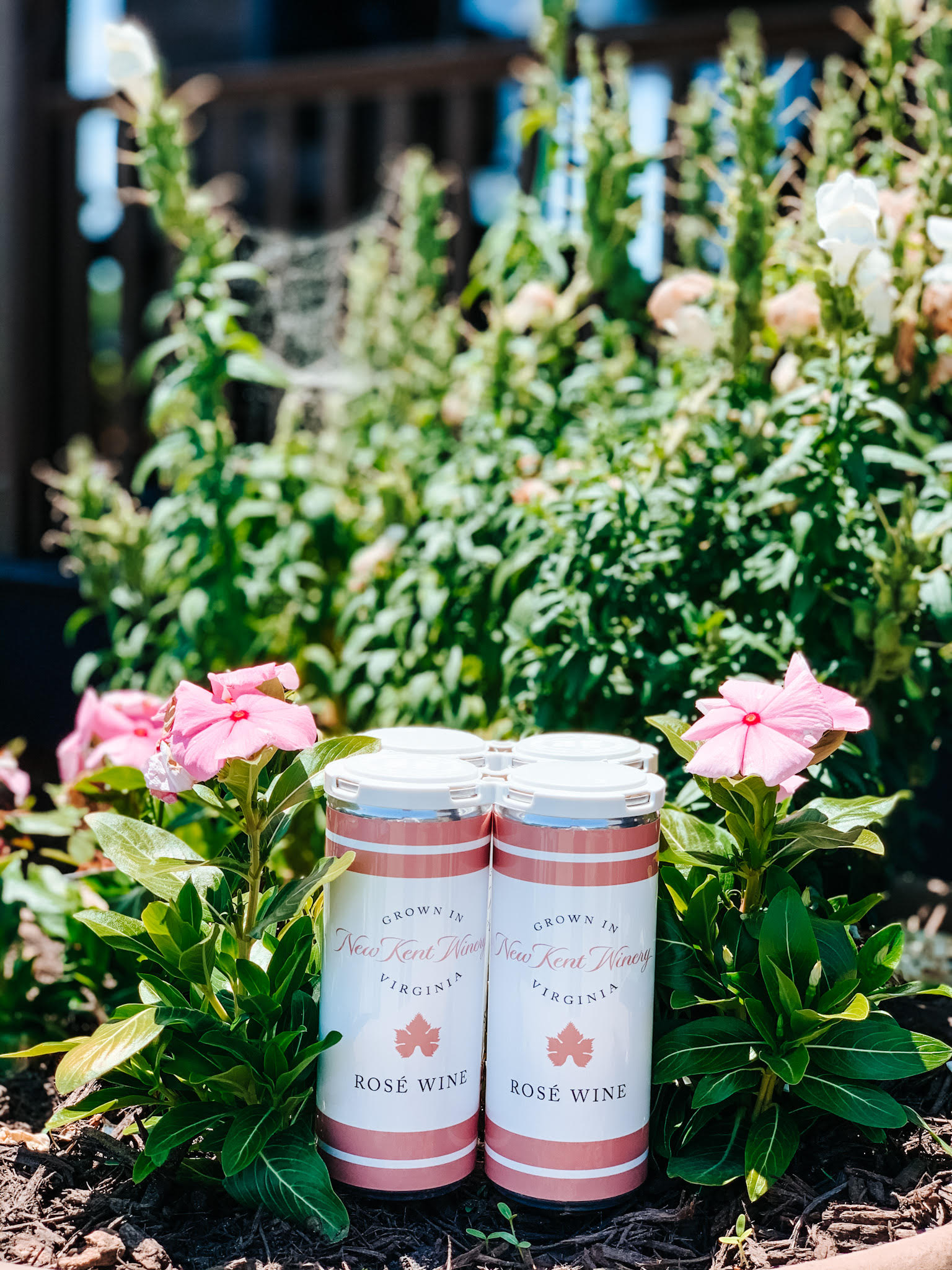 Canned Rose Wine 4-Pack THUMBNAIL