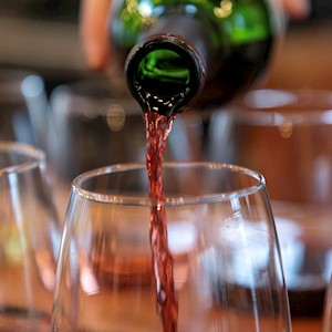 Red Wine Tasting MAIN