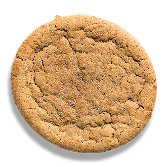 Cinnamon Sugar Cookie All Vegan THUMBNAIL