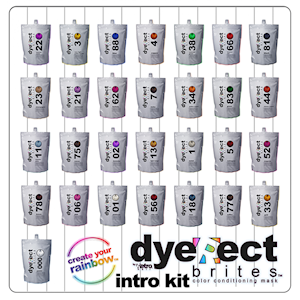 Dyerect Brites Intro Kit (Without Color Chart) THUMBNAIL