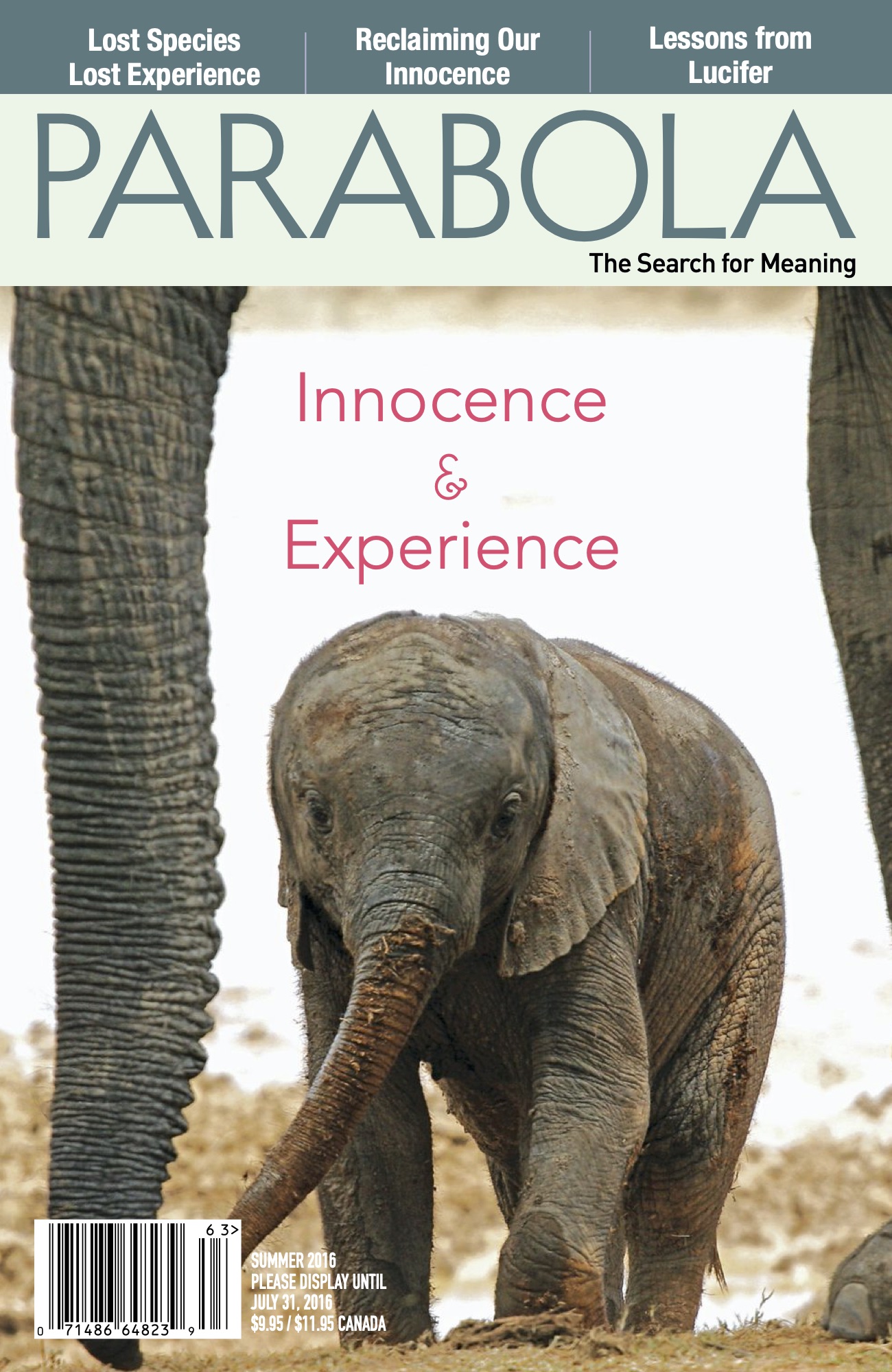 VOL. 41:2 Innocence & Experience LARGE