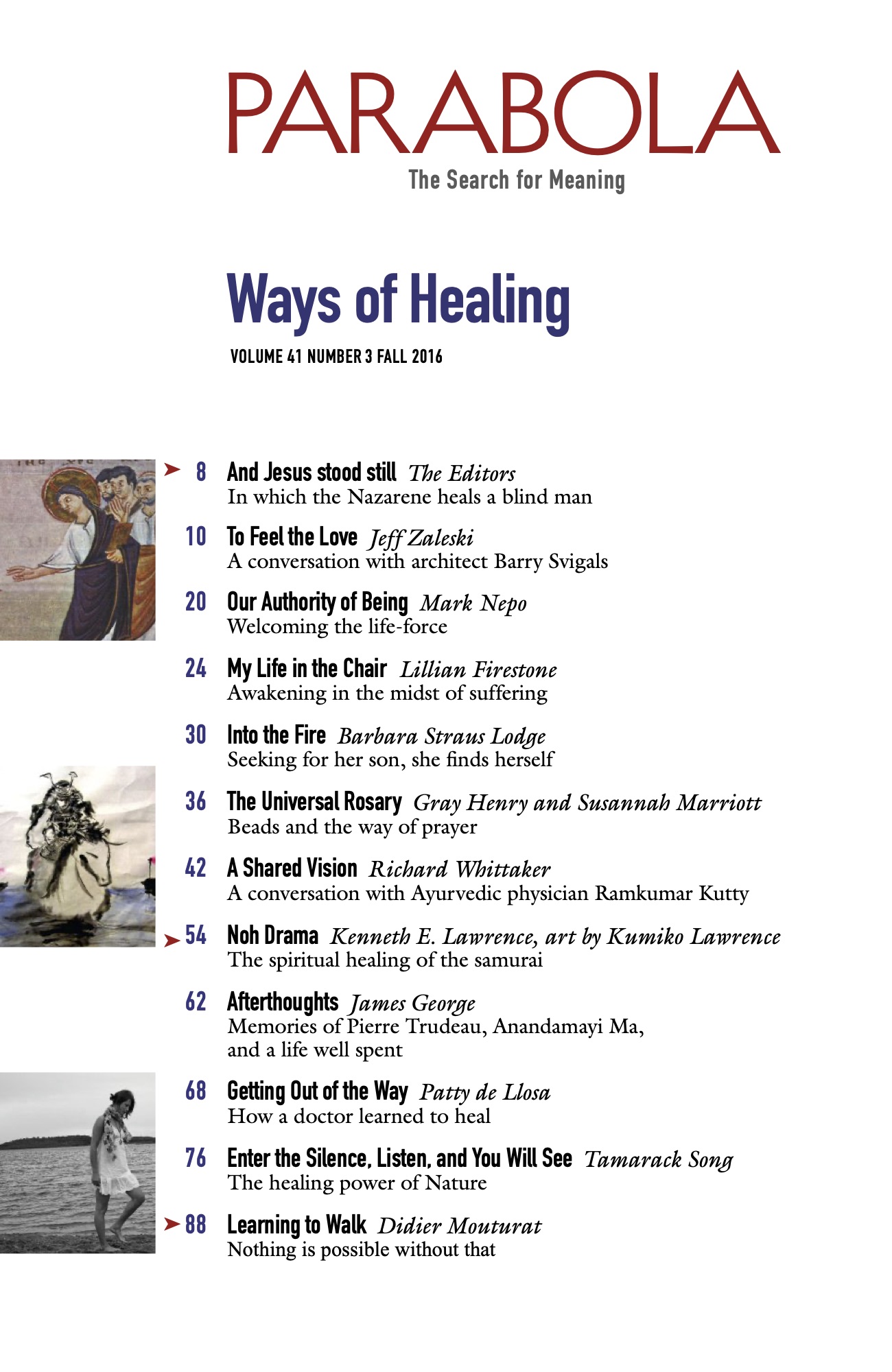 VOL. 41:3 Ways of Healing SWATCH