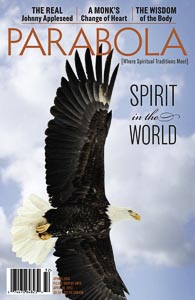 VOL. 38:1 Spirit in the World LARGE