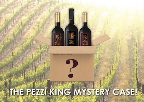 Mystery Case 2023 THUMBNAIL