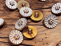 Daisy Flower Button Plastic THUMBNAIL