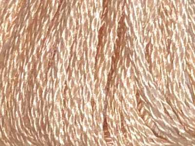 DMC Six-Strand Embroidery Floss – 3774 MAIN