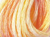 DMC Color Variations Embroidery Floss – 4090 THUMBNAIL