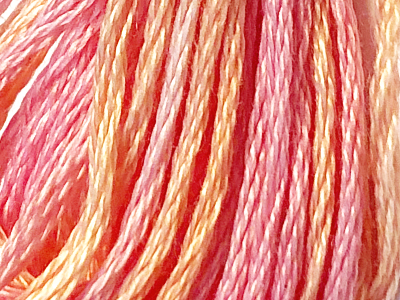 DMC Color Variations Embroidery Floss – 4110 MAIN