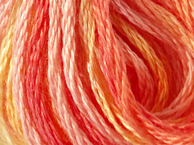 DMC Color Variations Embroidery Floss – 4120 MAIN