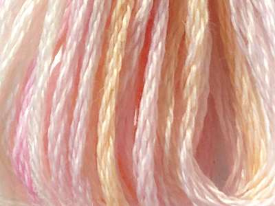 DMC Color Variations Embroidery Floss – 4170 MAIN