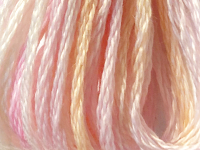 DMC Color Variations Embroidery Floss – 4170 THUMBNAIL