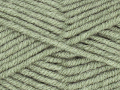 Ella Rae "Woolie" Yarn – col. 308 Reseda MAIN