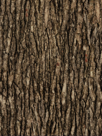 QT Fabrics "Open Air" # 1649-28112-A-Dark Brown - Bark THUMBNAIL