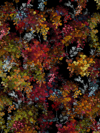 In The Beginning Fabrics "Resplendent" # 1JYO-1 – Colorful Foliage on Black THUMBNAIL