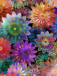 In The Beginning Fabrics "Dazzle" # 1JYP-1 – Colorful Starbursts THUMBNAIL