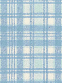 Robert Kaufman "Mammoth Organic Flannel" # 21385-455-SEASCAPE – Light Blue and White Plaid THUMBNAIL
