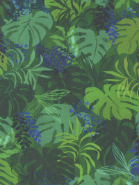 Robert Kaufman - Midnight In the Jungle SRKD 21971-48 Jungle THUMBNAIL
