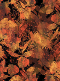 In The Beginning - Reflections of Autumn II  22RA-1 (leaves on black) THUMBNAIL