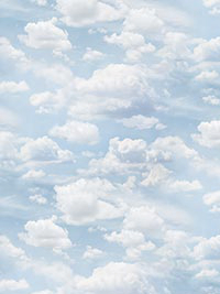 Northcott - Naturescapes Basics - Clouds 25490-42 Light Blue THUMBNAIL