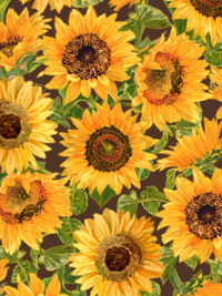 QT Fabrics "Fall Splendor" # 28401-A Brown – Sunflowers THUMBNAIL