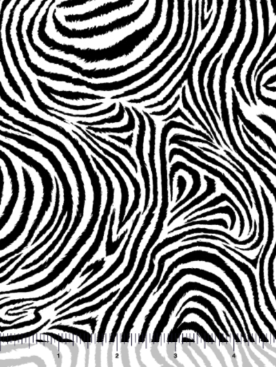 QT Fabrics "Zebra Sunset" #1649-29240-Z – Zebra Skin MAIN