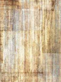 QT Fabrics "Heartland" Wood Blender # 30463-E Stone THUMBNAIL
