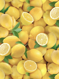 Elizabeth's Studio "Food Festival" # 483-YELLOW – Lemons THUMBNAIL