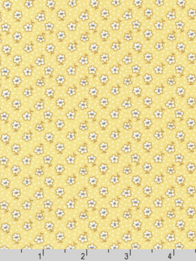 Robert Kaufman - Blast from the Past - ADZD-22974-5 Yellow MAIN